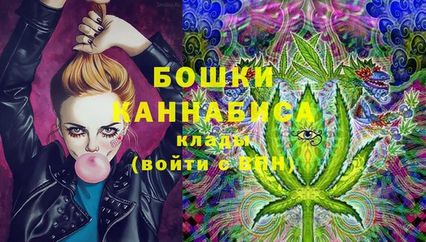 дживик Белоозёрский